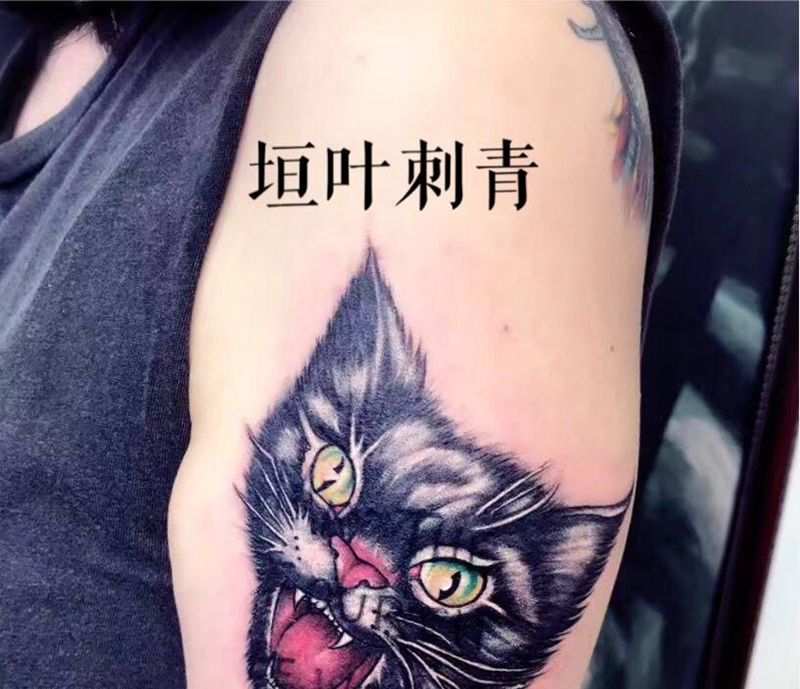 猫纹身图片
