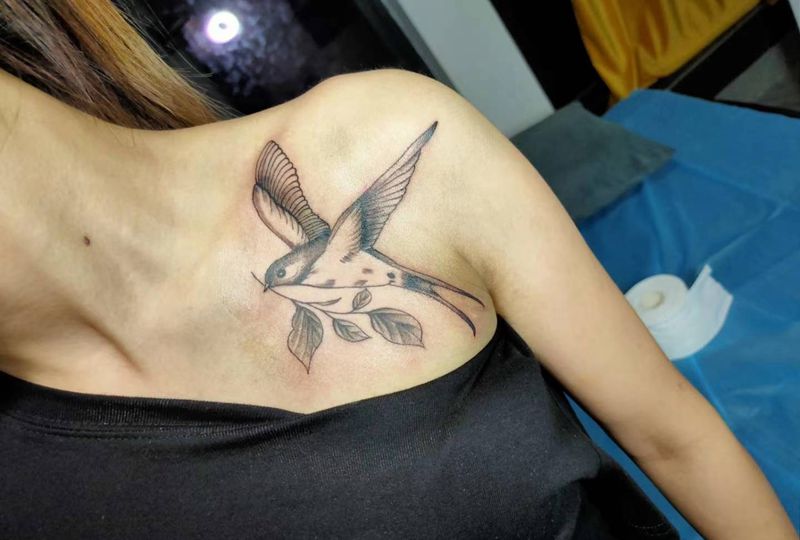 燕子纹身图片_胸部肩部纹身图案