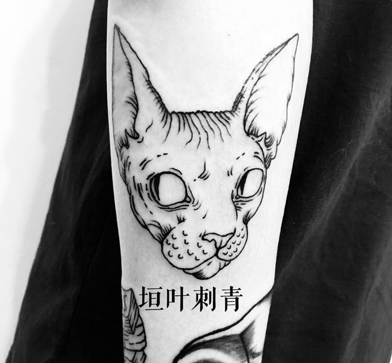 无毛猫纹身图片