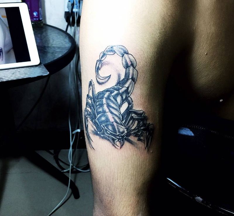 蝎子纹身图片