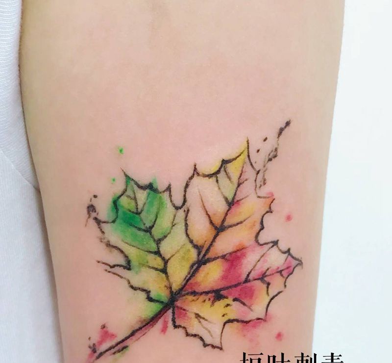 梧桐叶纹身图片