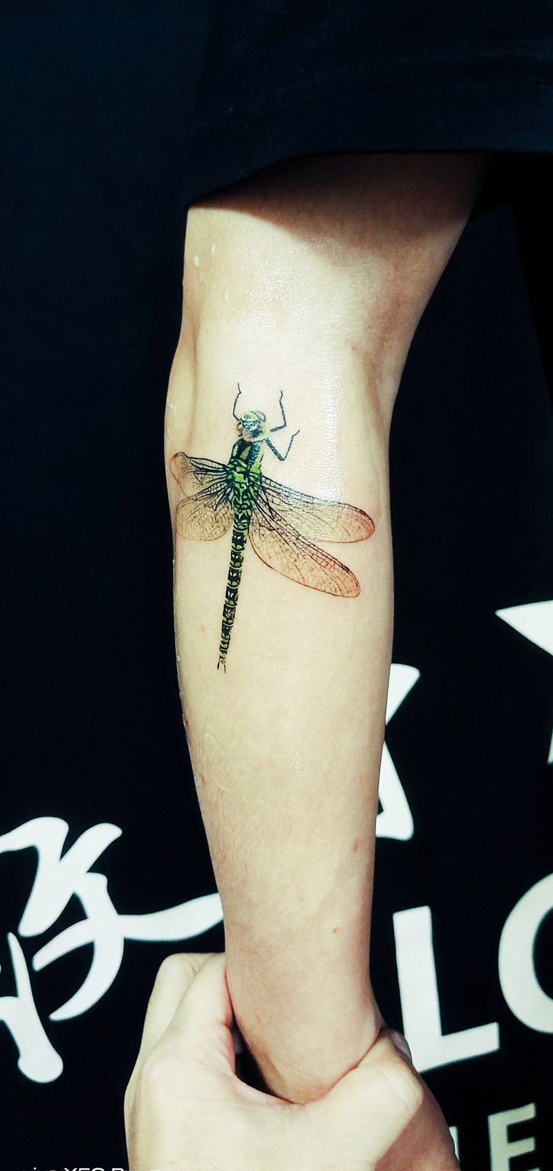 遮盖凸起疤痕纹身图片_手臂纹身图案