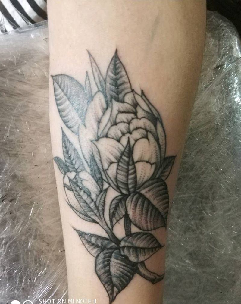 遮盖作品纹身图片_手臂清新植物成品纹身图案