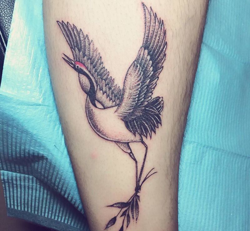 鹤，特价纹身图片