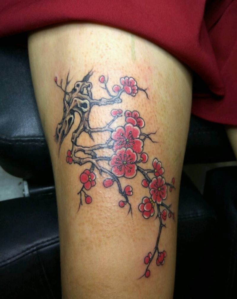 梅花纹身图片_胸部腹部腰部背部手臂腿部脚部传统植物成品纹身图案