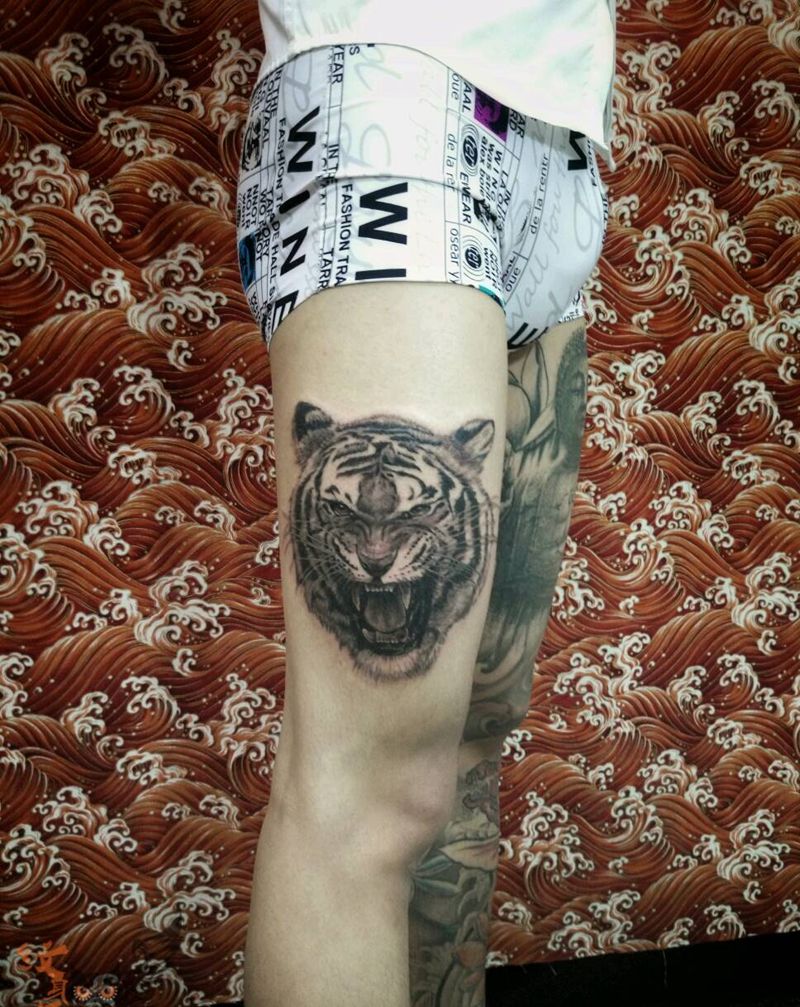 写实老虎{未完成}纹身图片_手臂腿部欧美写实动物原创纹身图案