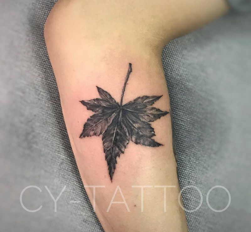 枫叶纹身纹身图片_原创植物静物欧美清新写实手臂腿部成品胸部纹身图案