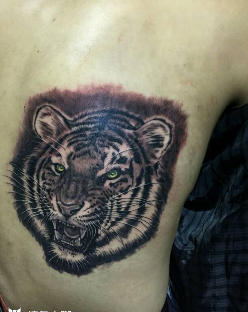 彩色写实老虎，下次上彩色纹身图片_背部手臂腿部欧美传统写实动物原创成品手稿纹身图案