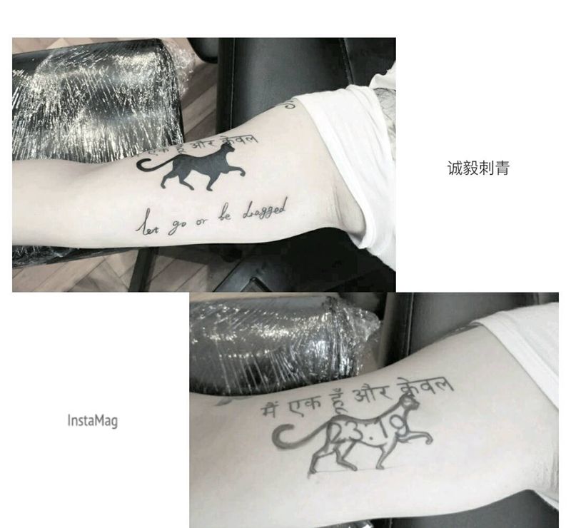 小猫遮盖加英文纹身图片_手臂欧美清新几何字符动物图腾原创成品纹身图案