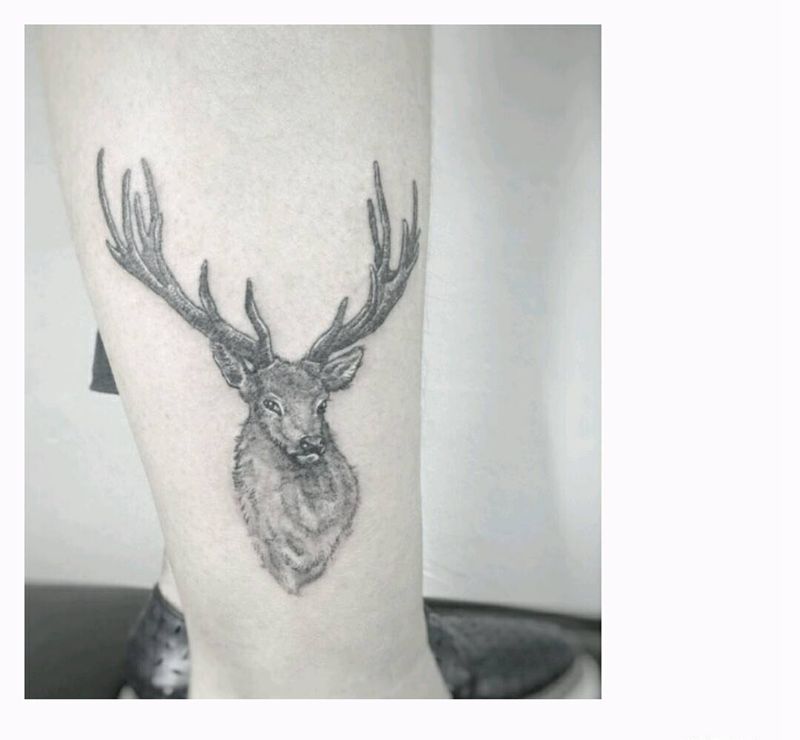 想鹿纹身图片_手臂腿部欧美清新写实动物原创成品纹身图案
