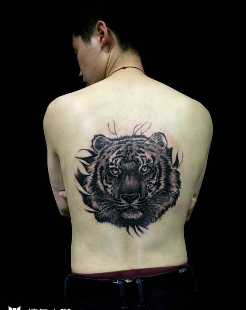 写实大老虎（未完成）纹身图片_胸部背部手臂腿部欧美写实动物原创成品手稿纹身图案