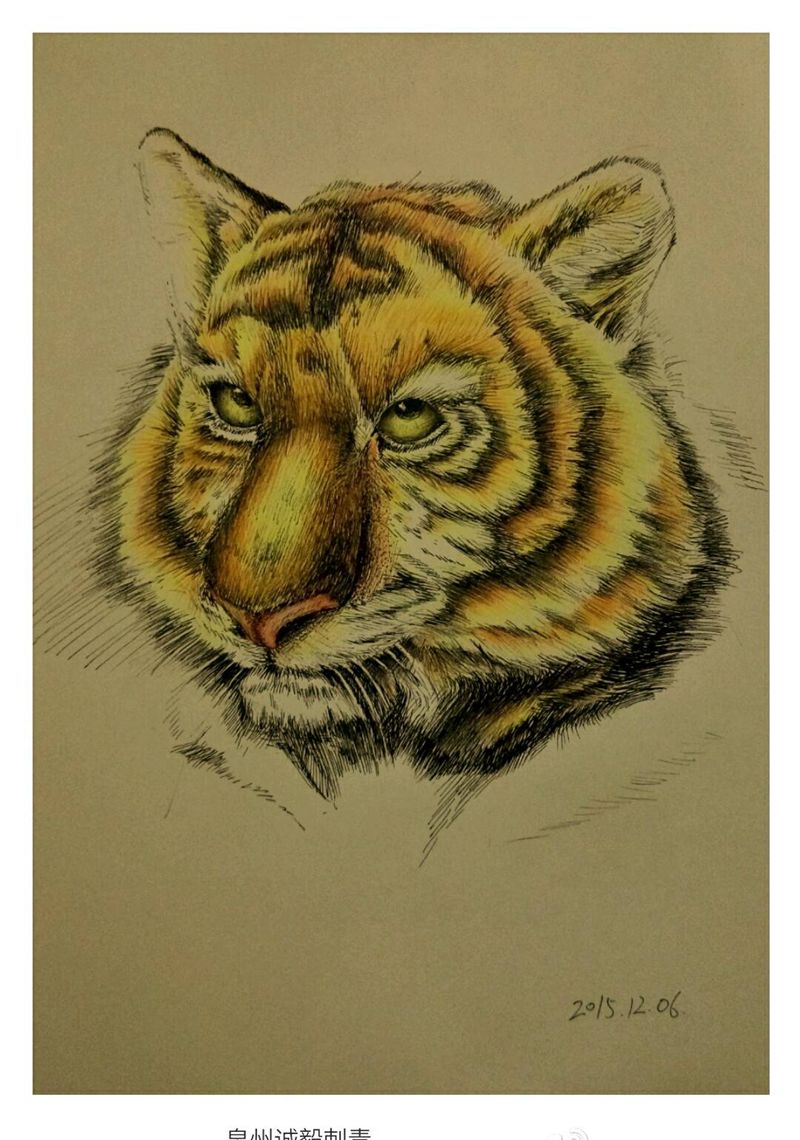 徒弟手稿纹身图片_胸部背部手臂腿部欧美写实动物原创纹身图案