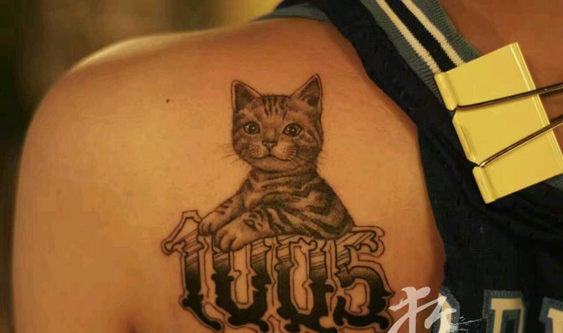 猫咪花体字（原创作品）纹身图片_肩部手臂欧美清新写实几何字符动物原创成品纹身图案