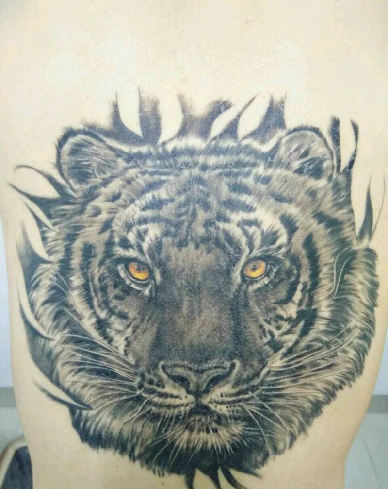 恢复很快的老虎。纹身图片_背部欧美写实动物纹身图案