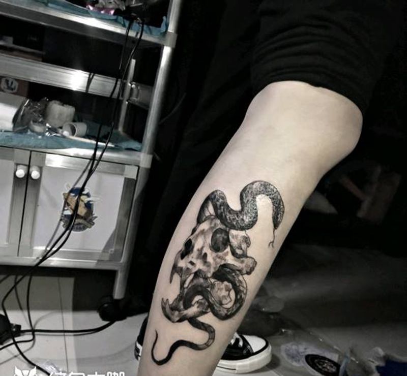 蛇盘头骨纹身图片