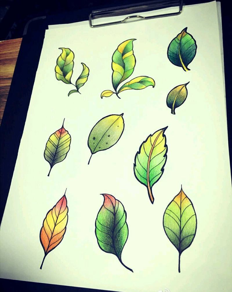 school风格叶子纹身图片_欧美传统植物原创手稿插画纹身图案