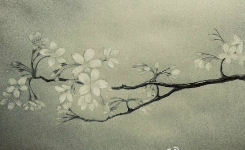 水彩一支花纹身图片_肩部胸部背部手臂腿部传统清新写实植物原创纹身图案