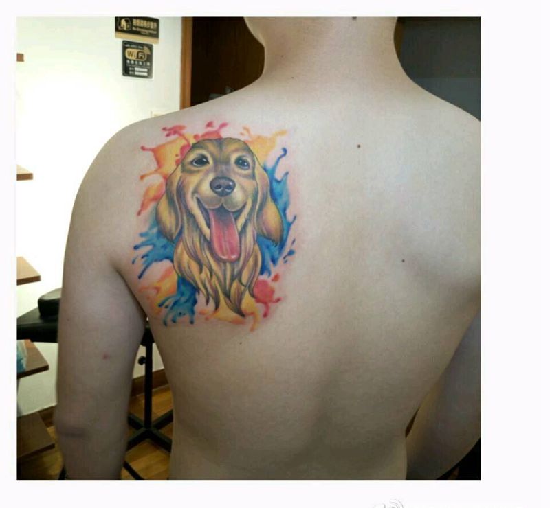 原创水彩金毛犬纹身纹身图片_欧美清新写实国画动物图腾原创成品手稿纹身图案