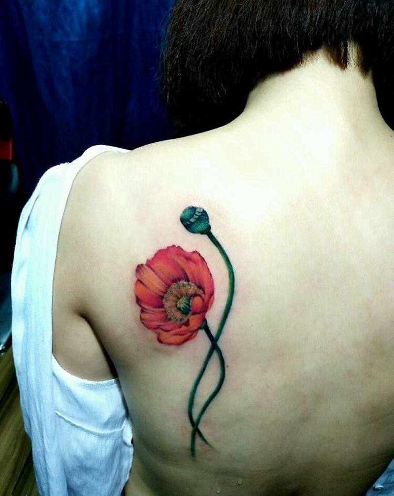 虞美人纹身图片