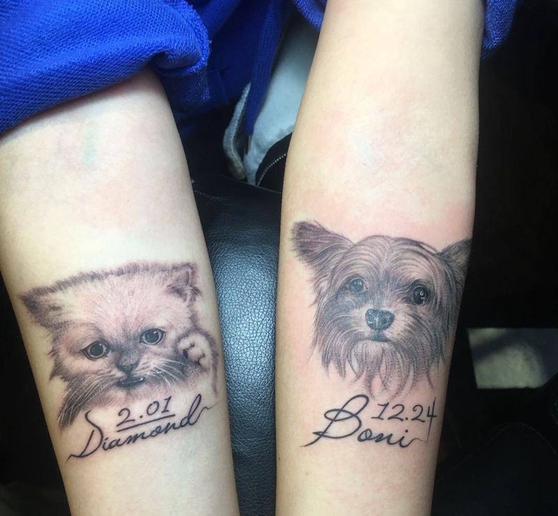 猫狗纹身图片
