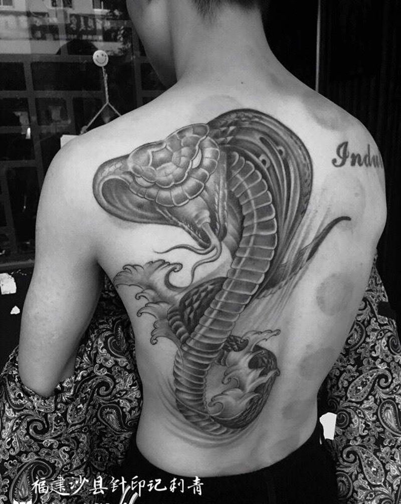 眼镜蛇纹身图片