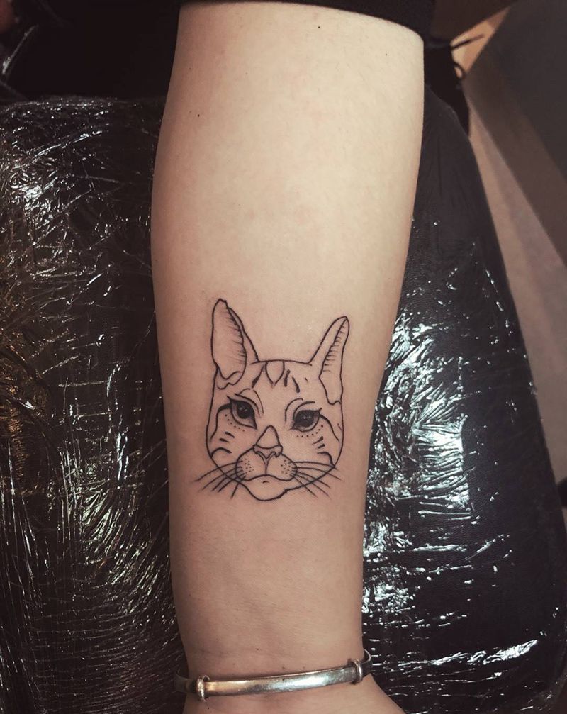 小猫纹身图片