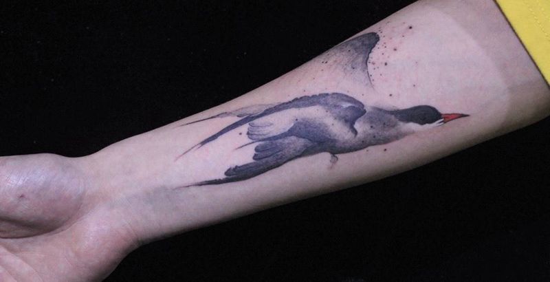 玄鳥南飛纹身图片_成品手臂手部国画纹身图案