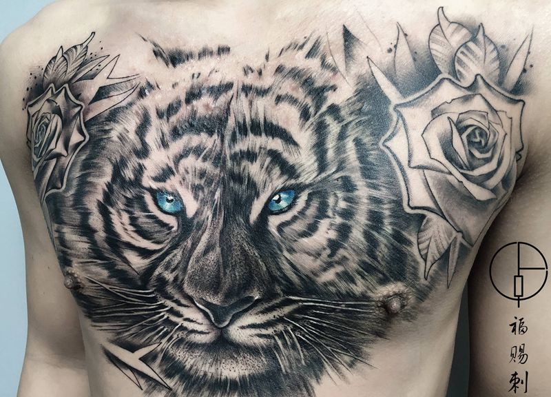 花胸老虎纹身图片_背部胸部欧美写实新传统纹身图案