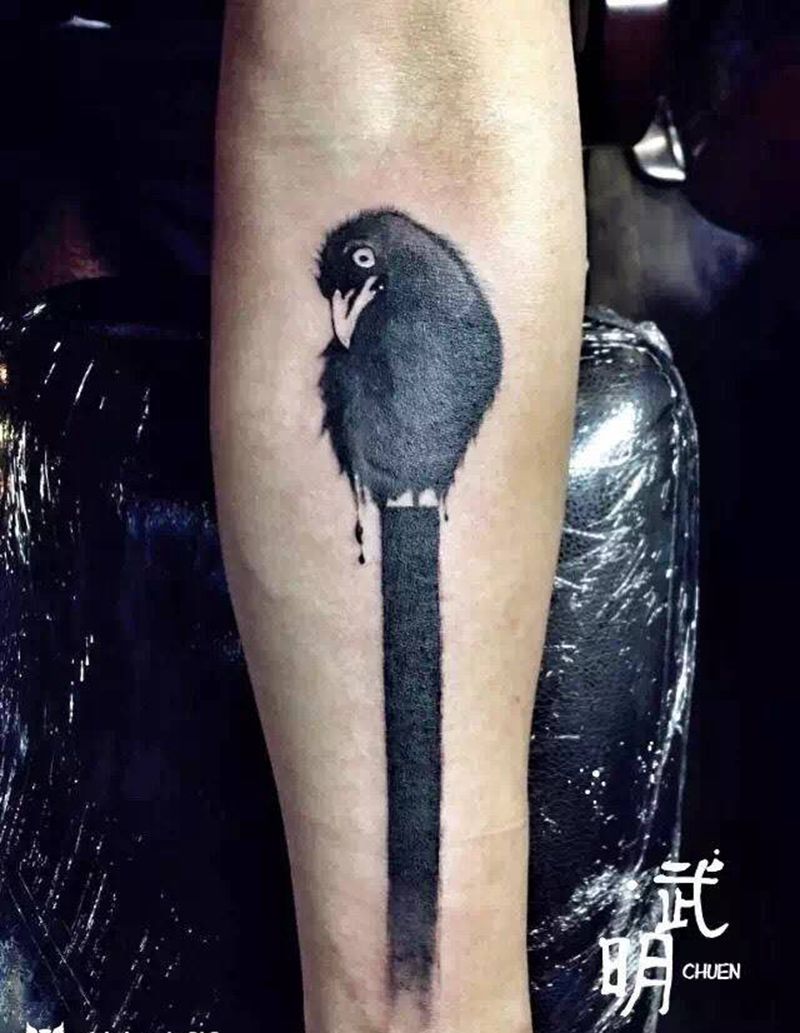 乌鸦纹身图片