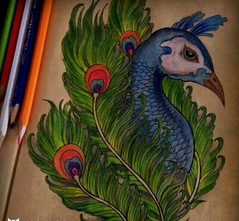 临摹手稿 孔雀纹身图片_肩部腰部背部手臂腿部传统动物纹身图案