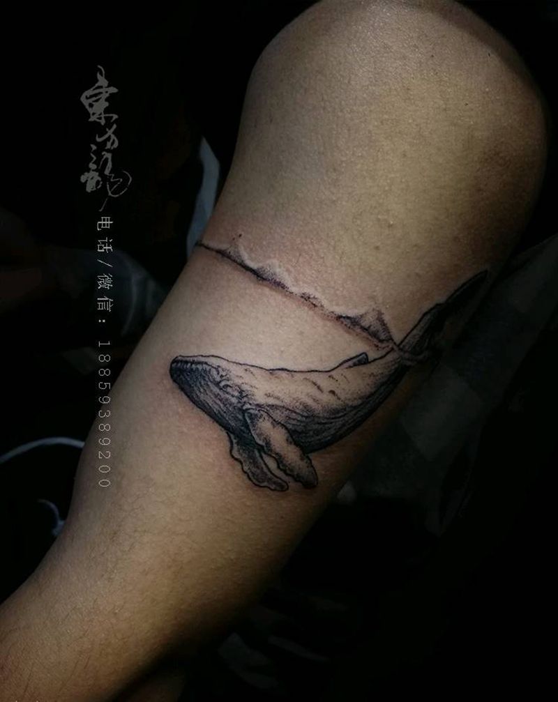 鲸鱼纹身纹身图片_手臂鲸鱼纹身图案