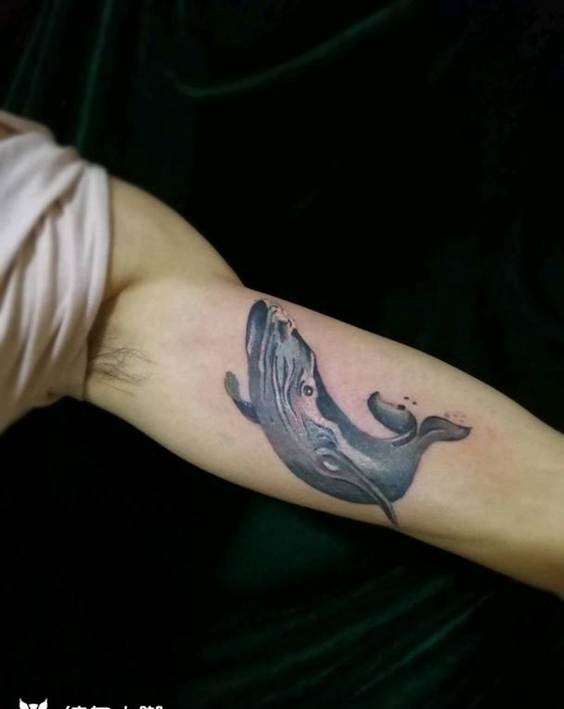 大臂鲸鱼纹身图片_手臂动物宁德福建成品纹身图案