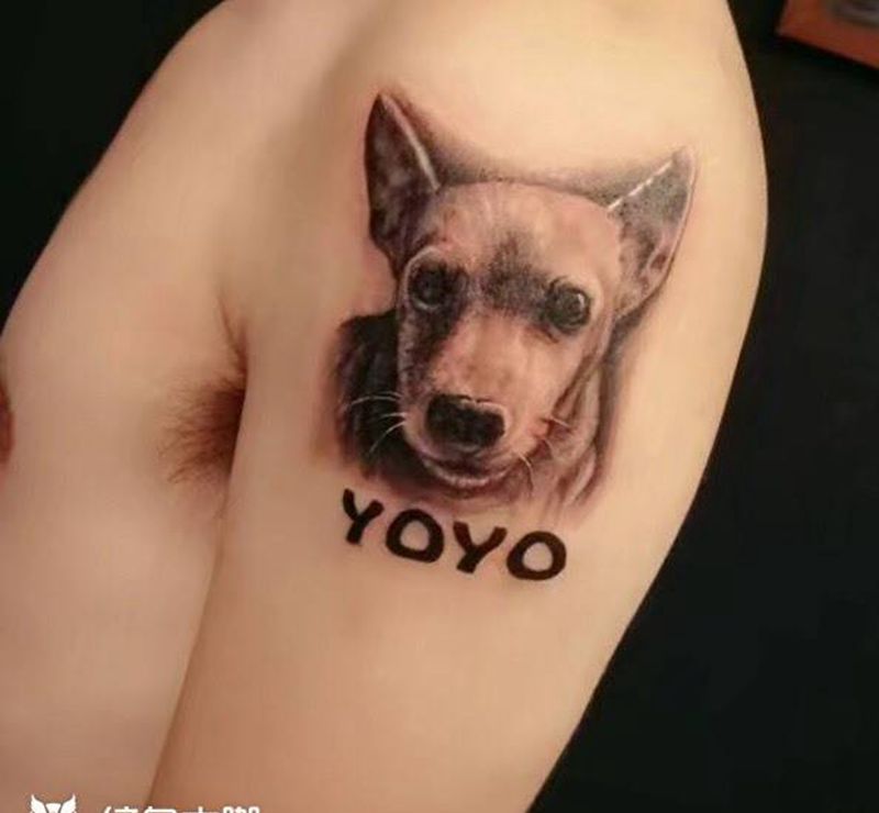 纪念狗纹身图片_成品欧美写实动物手臂纹身图案