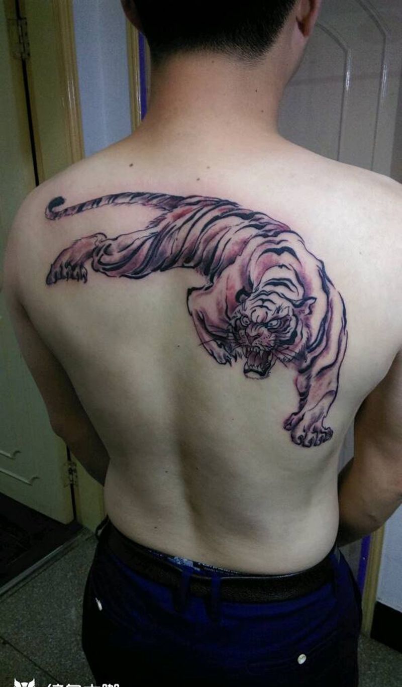 下山虎  写意风纹身图片_背部传统国画动物纹身图案