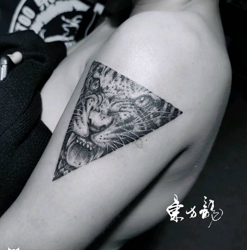 虎纹身纹身图片_手臂老虎纹身图案