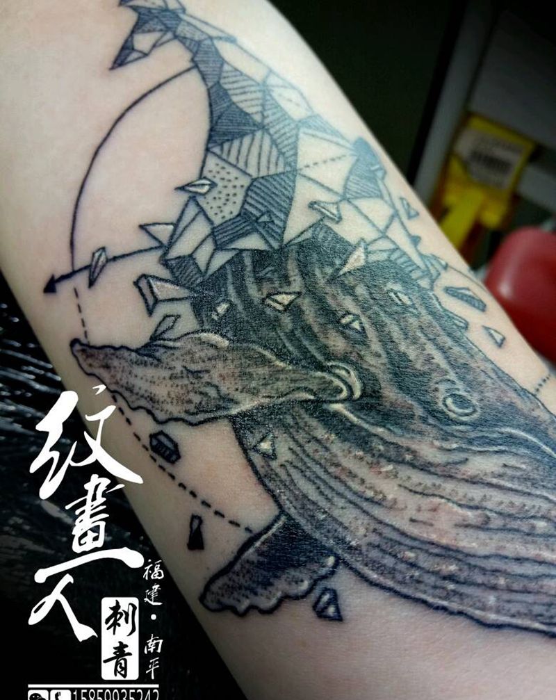 鲸（挣脱）纹身图片