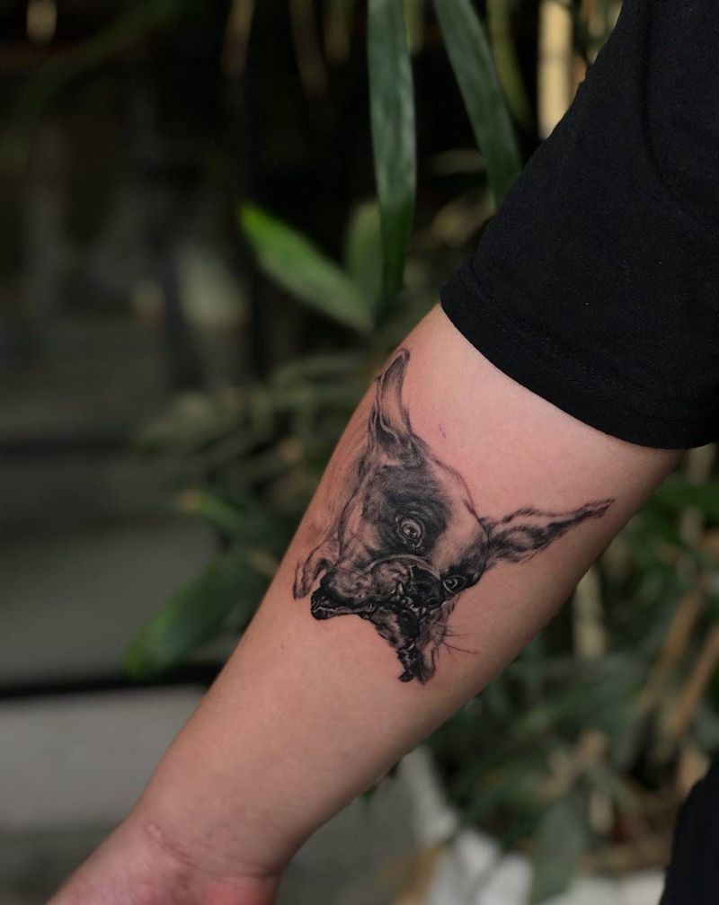 狗纹身图片