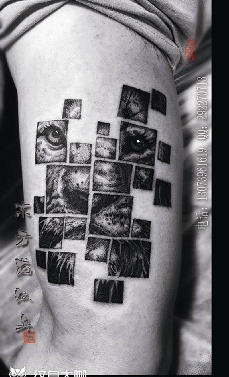 狮子纹身纹身图片