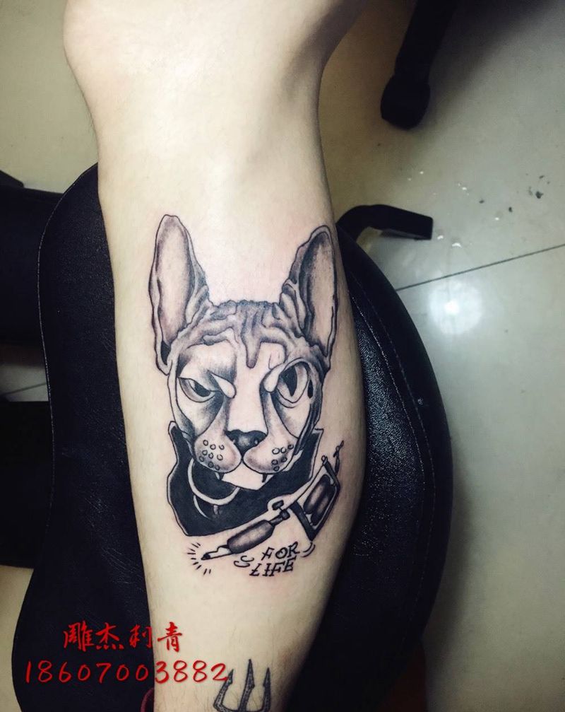 无毛猫纹身师纹身图片_成品腿部欧美清新动物贴纸纹身图案