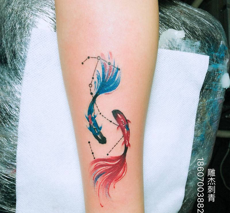 双鱼座纹身图片_手臂水彩点刺纹身图案