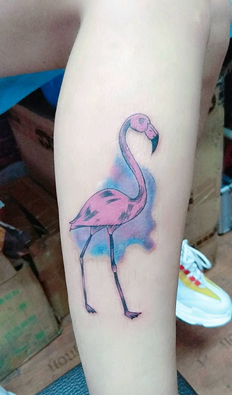 火烈鸟纹身图片