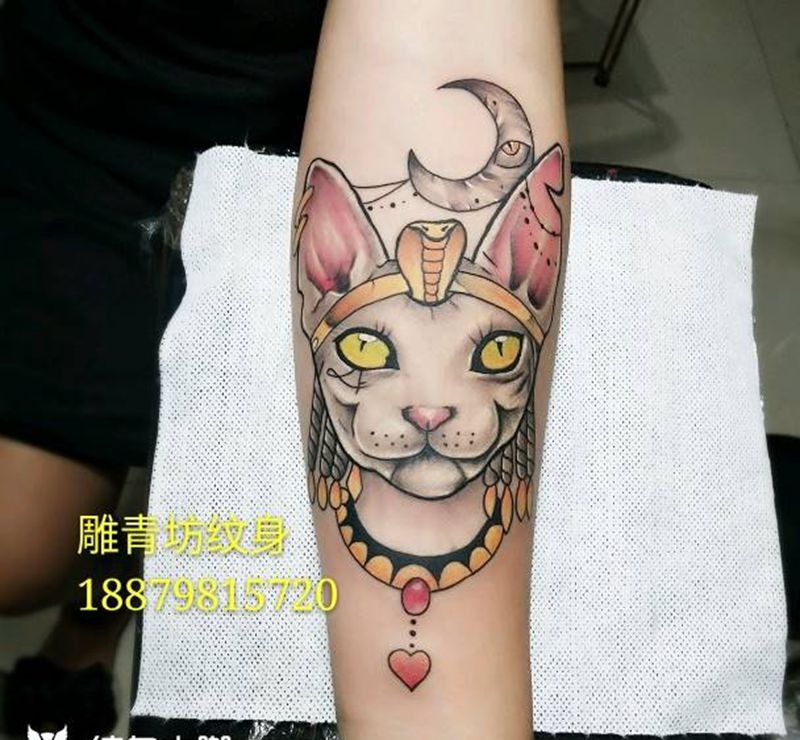 无毛猫纹身图片