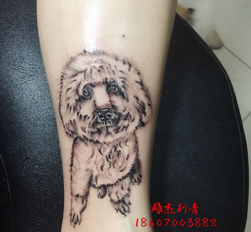 小泰迪纹身图片_成品腿部清新动物原创纹身图案