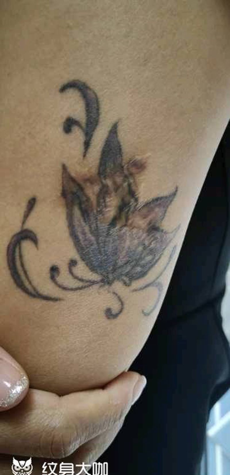 荷花覆盖纹身图片_手部纹身图案