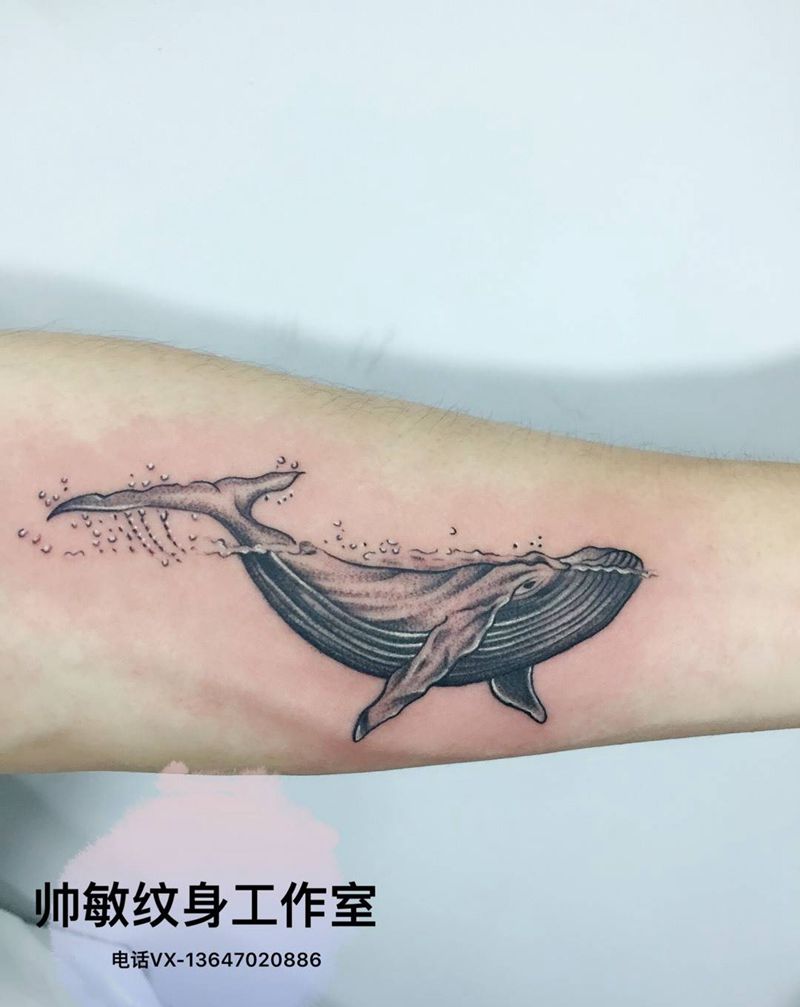 鲸纹身图片_帅敏TATTOO纹身图案