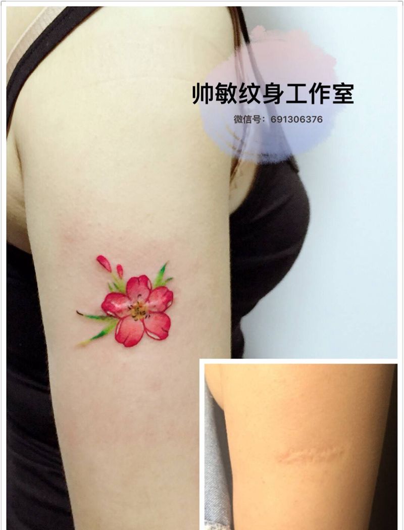 卍遮盖疤痕纹身图片_帅敏TATO手臂清新植物纹身图案