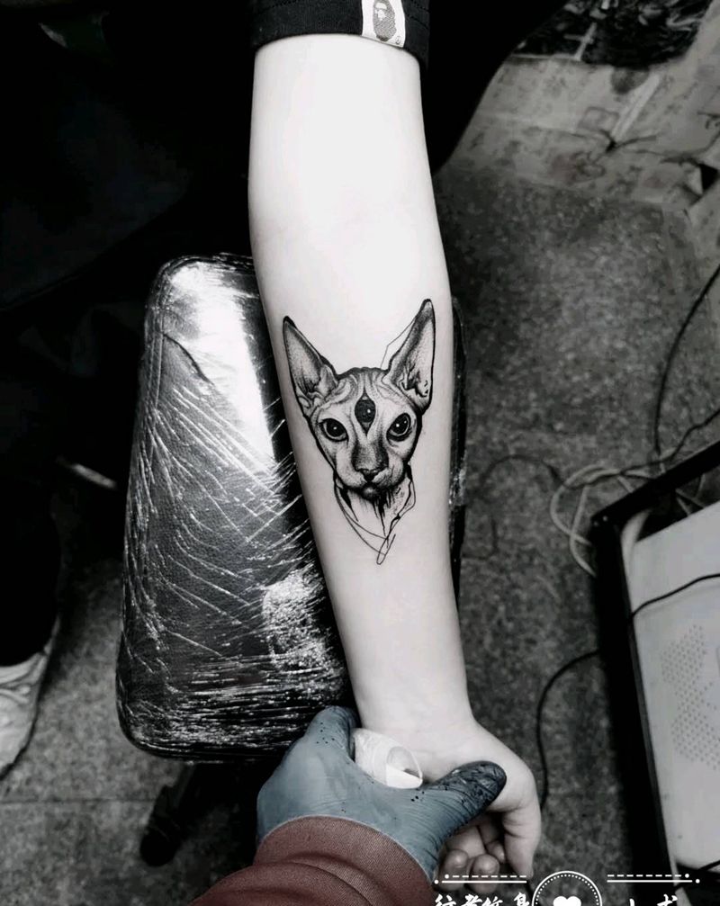 猫纹身图片_手臂纹身图案