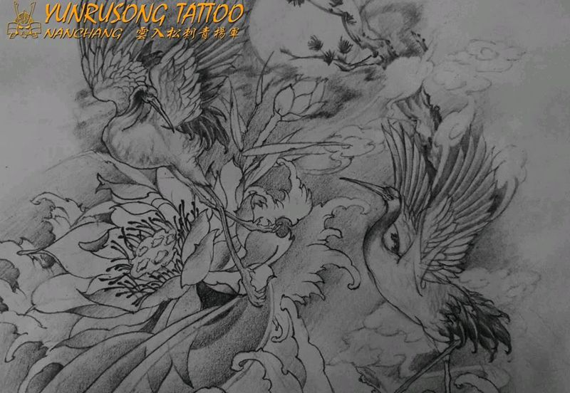 鹤原创手稿纹身图片