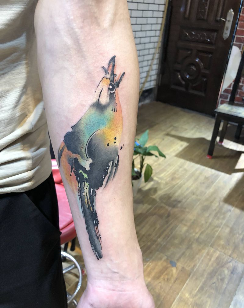 喜鹊纹身图片_新传统水彩纹身图案