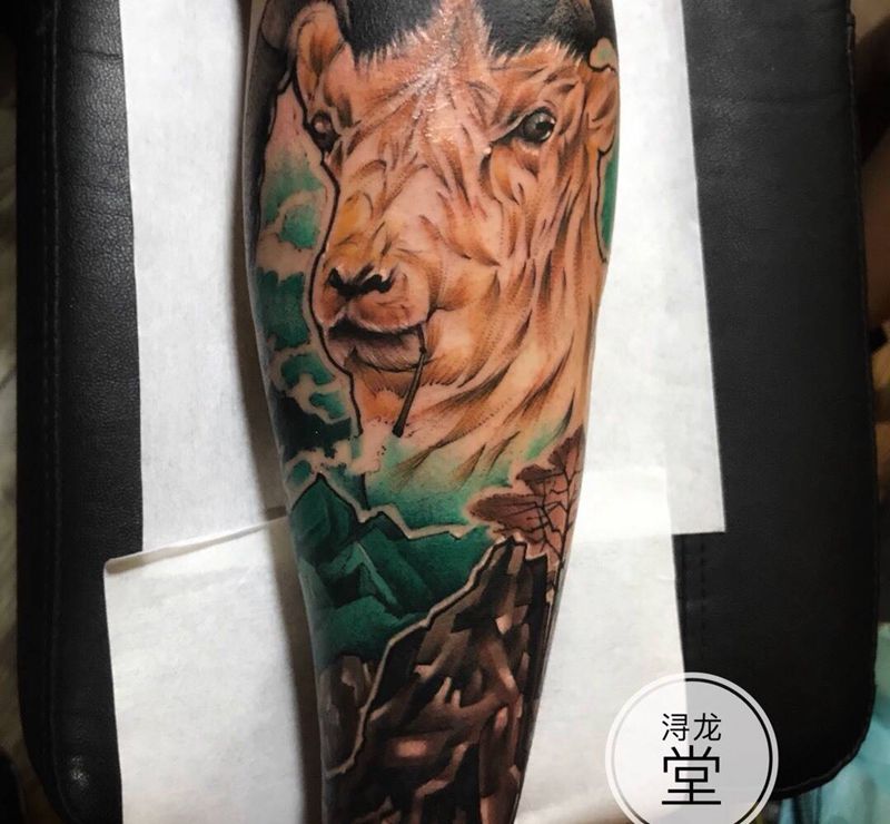 羊纹身图片_成品欧美动物纹身图案